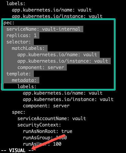 VIM editor vistual mode