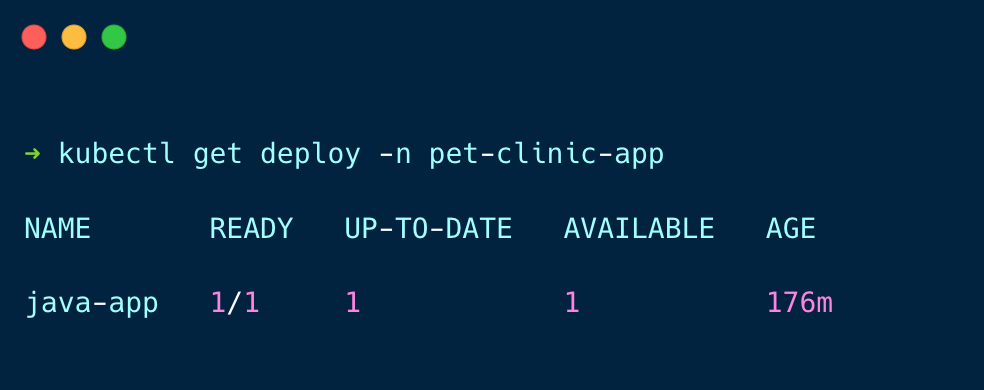 verifying if the java app deployment is up and running