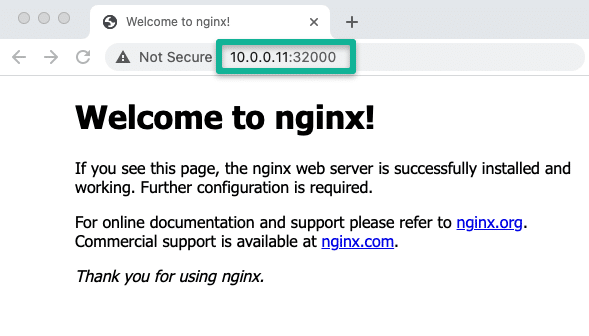 kubeadm vagrant access application on nodeport.