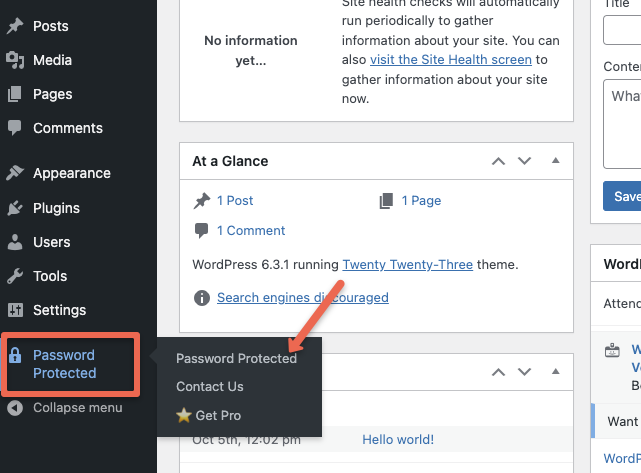 password protected plugin settings