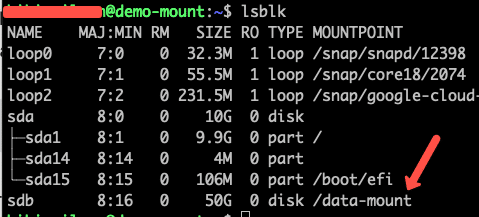 google cloud list extra disks