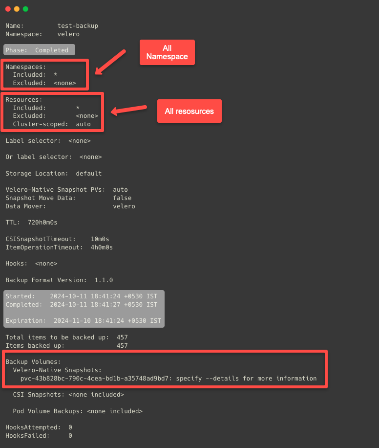 the detailed information of the backup custom resource