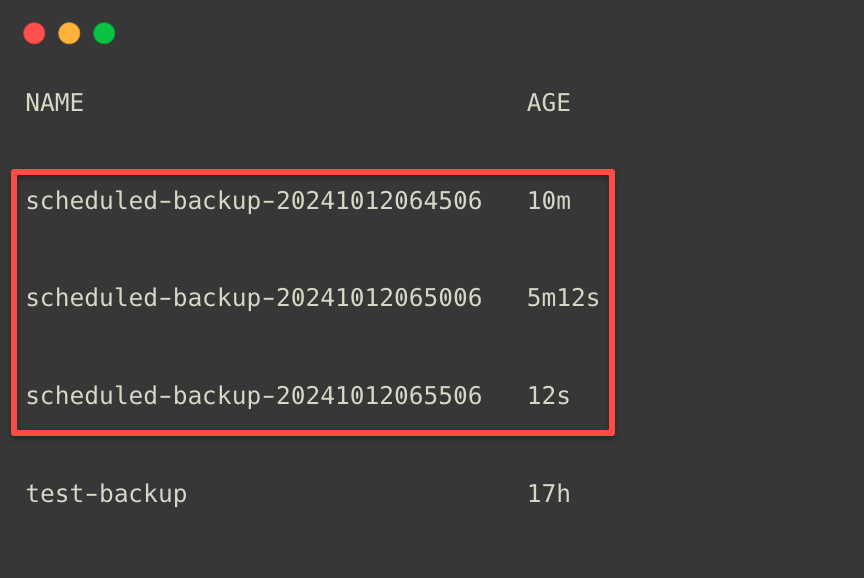 the list of backups taken by the velero