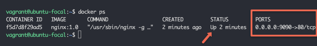 docker container status