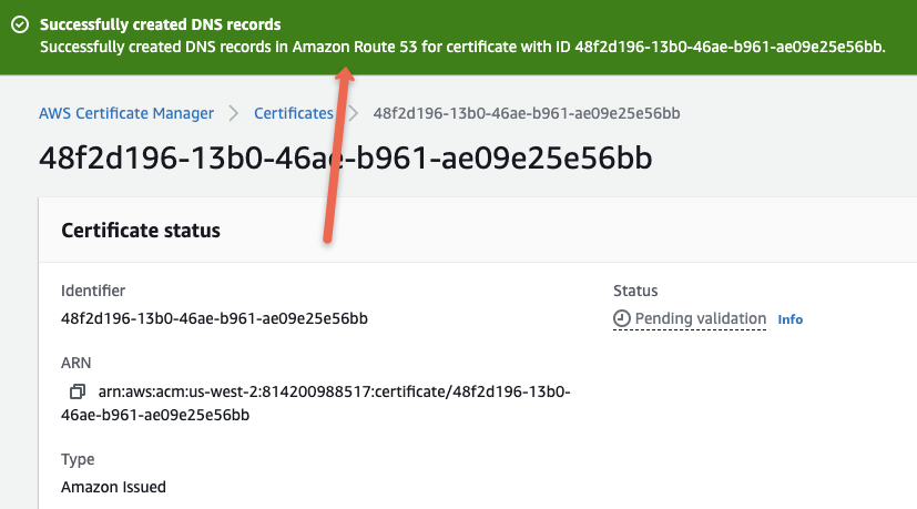 CNAME DNS record update it in Route53 automatically.