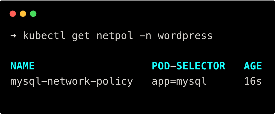 check if the network policy is created