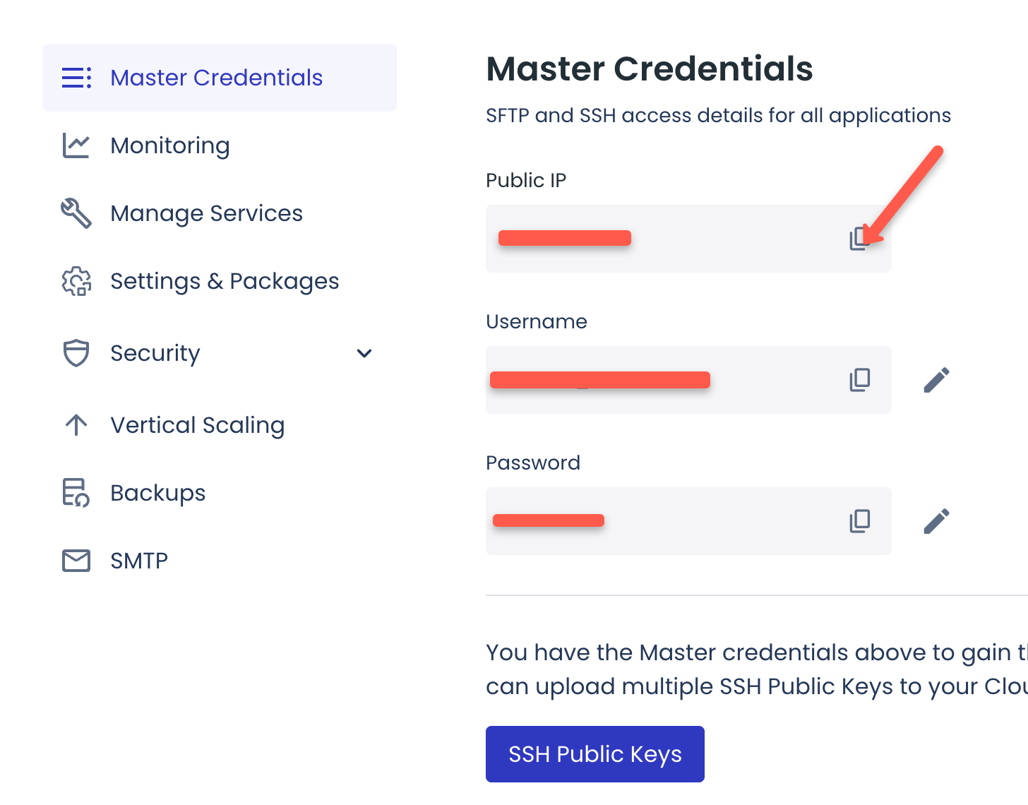 Copy the public IP of the cloudways server