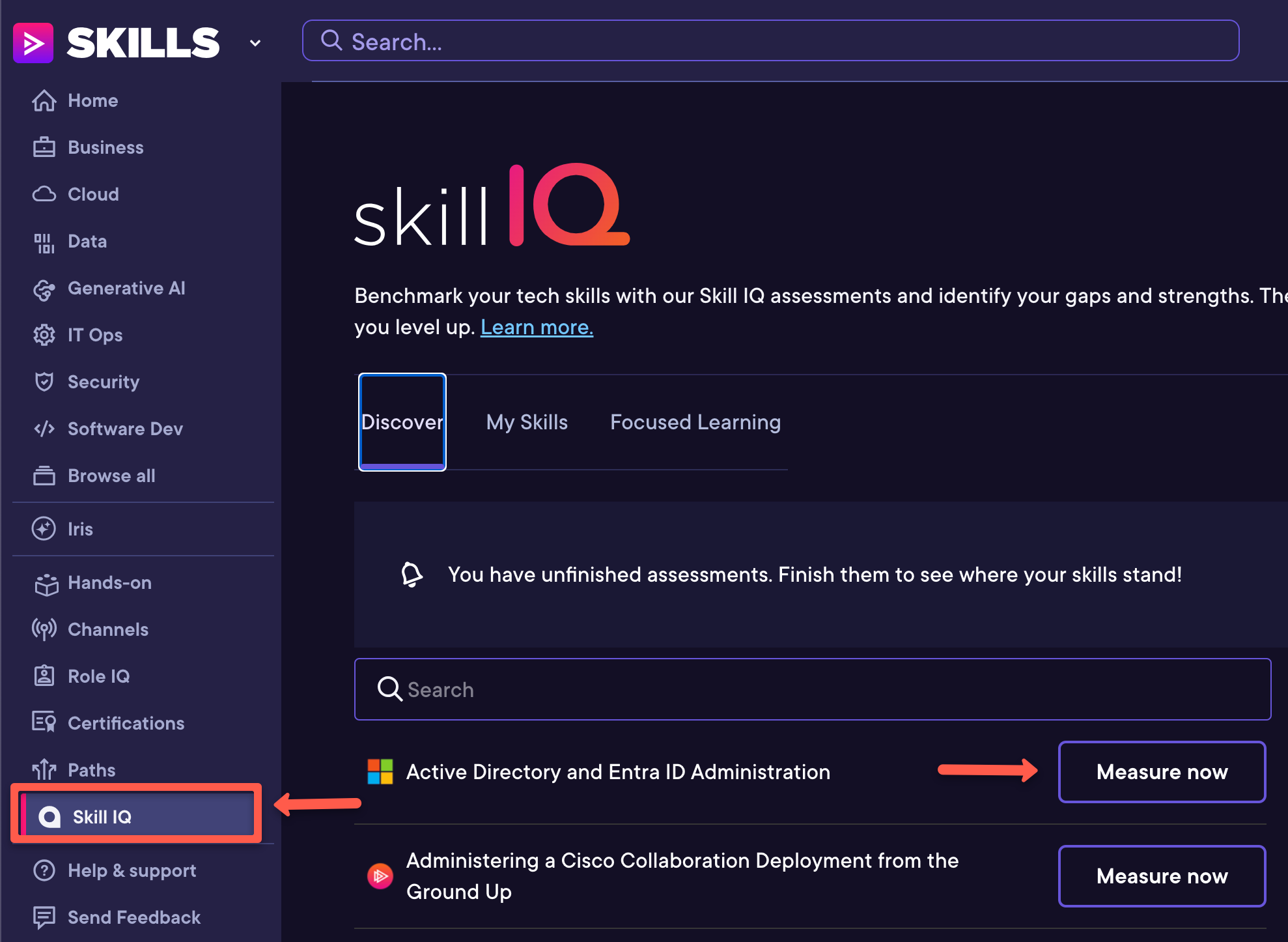 the pluralsight skilliq to test the assessment