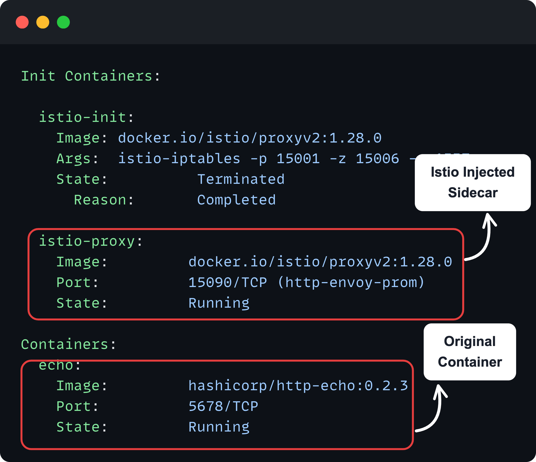 the described output to see the istio injected sidecar container