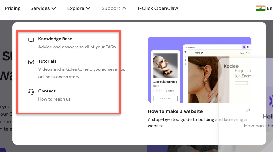 Hostinger customer support