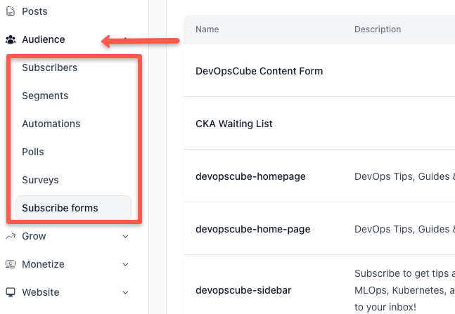 beehiiv audience section