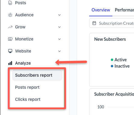 Analyze section in Beehiiv