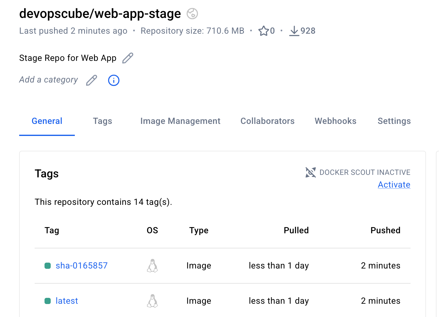 stagging image registry