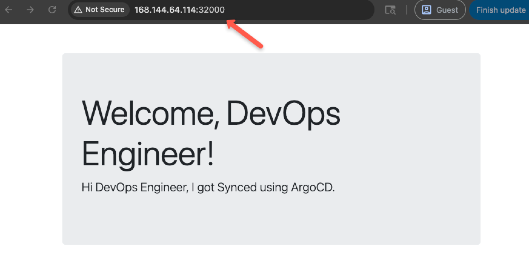 accessing the application deployed using argocd