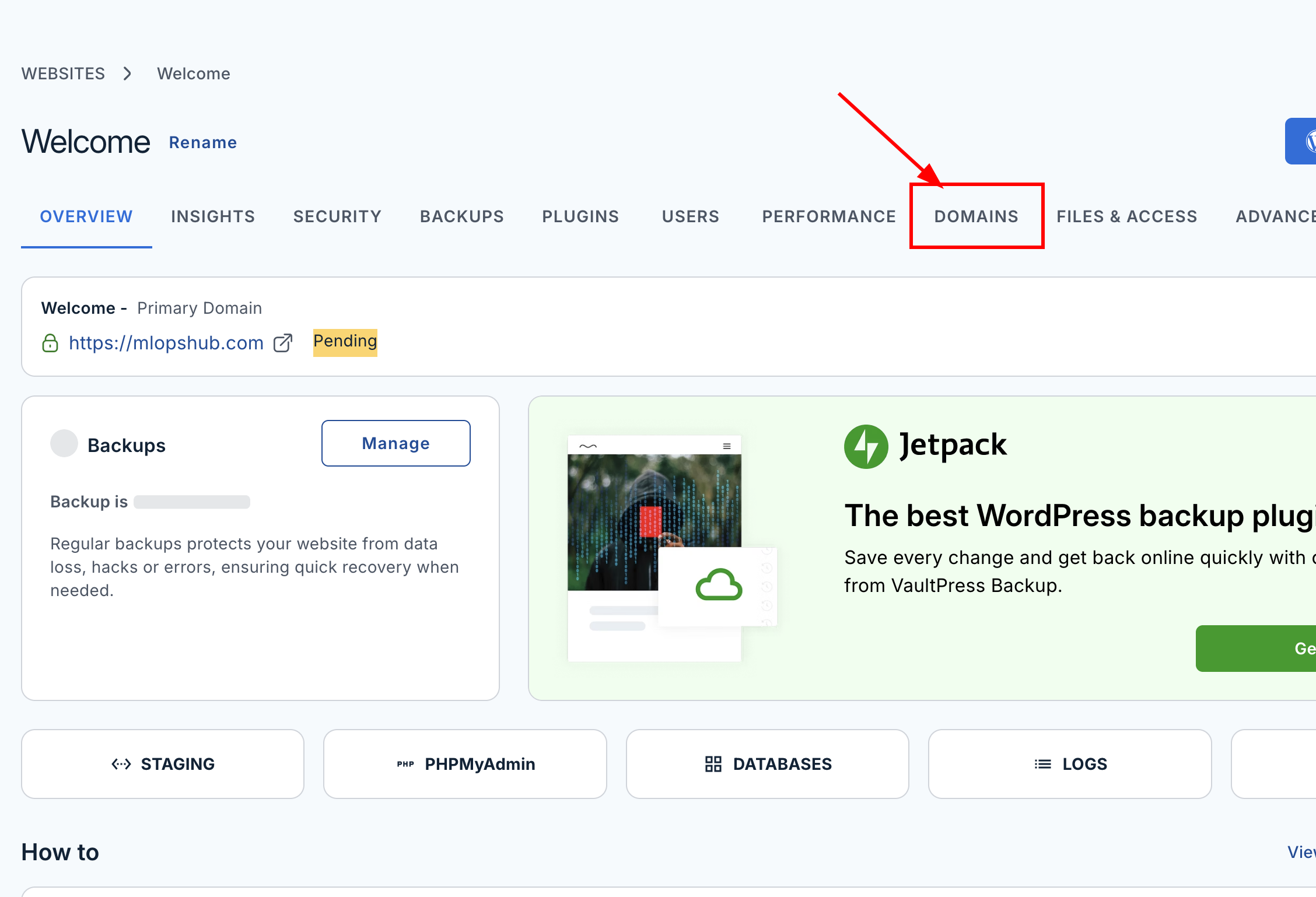 Click the domains option and open the page