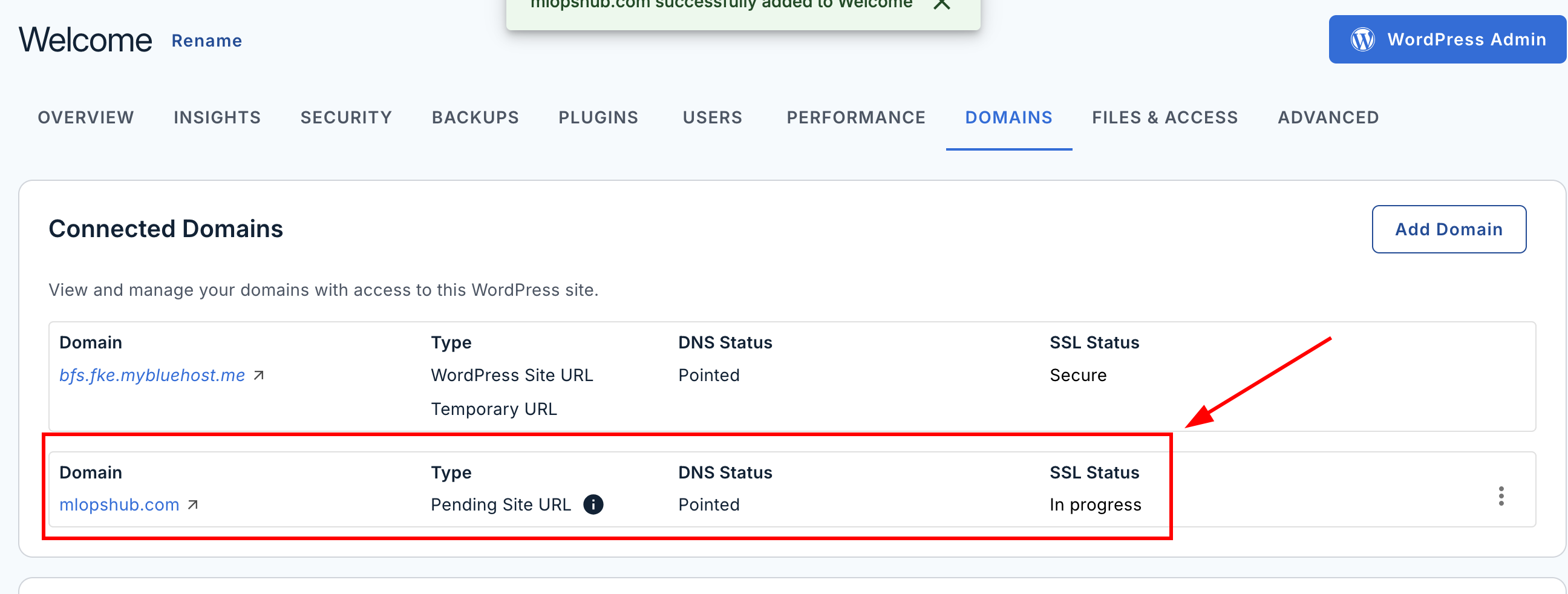 check the domain status. This is the page to check the domain status such as its type, DNS status and SSL status