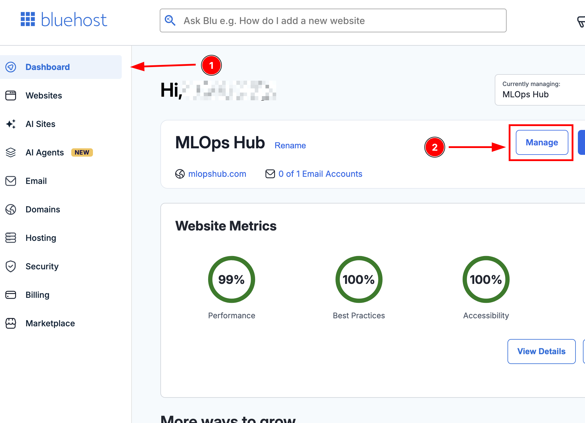 Go to the Bluehost dashboard and click the manage button