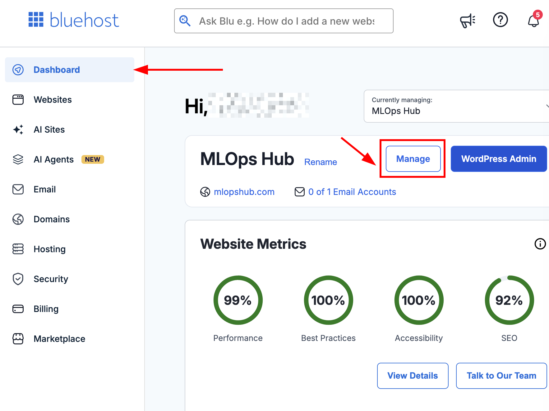 In the Bluehost dashboard, click the Manage button