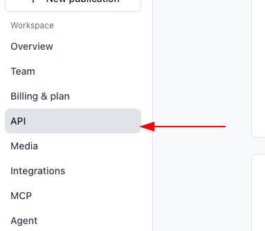Beehiiv dashboard sidebar with the API 