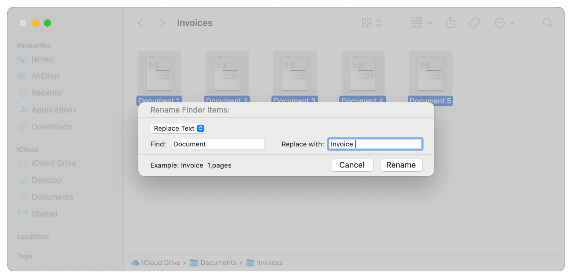 The Rename box with the Replace Text option selected.