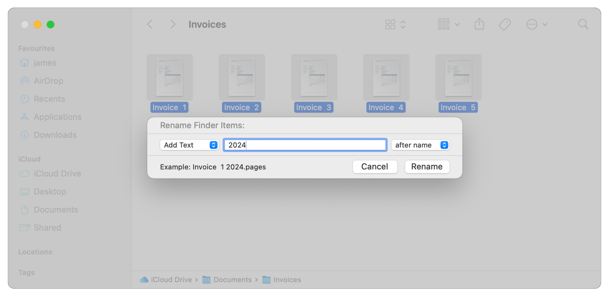 The Rename box with the Add Text option selected.