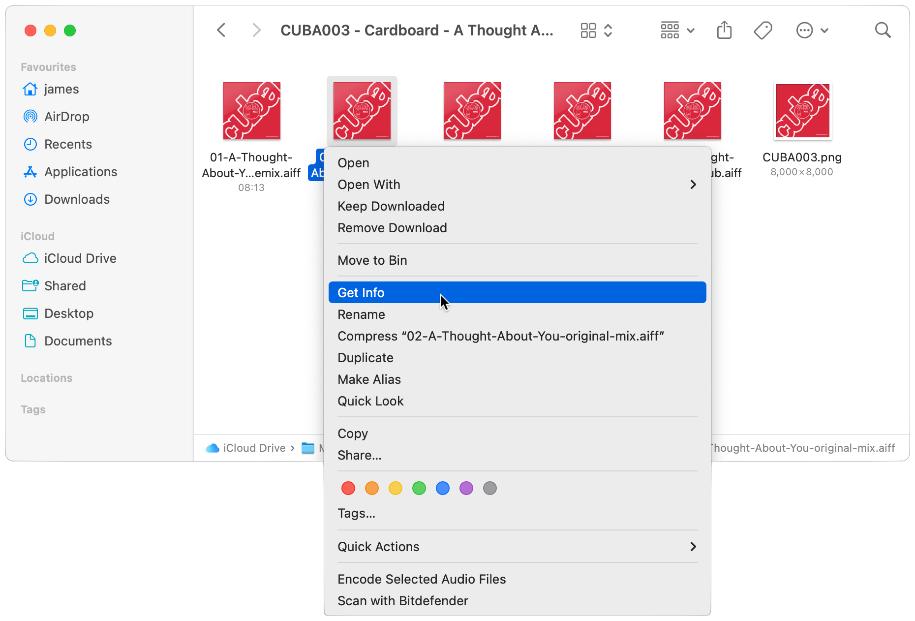 The Get Info option from the menu.