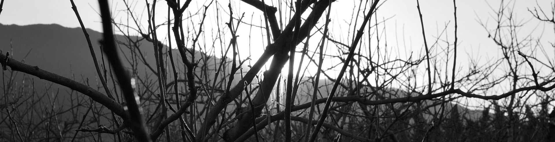 No Provenance | ニックG | jnickg.net