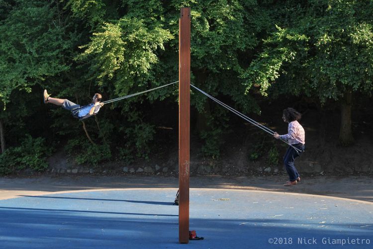 Copenhagen Swing Set