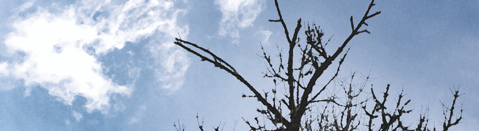 Early Spring Tanka 2017