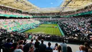 Halle 2026 - ATP 500 Preview