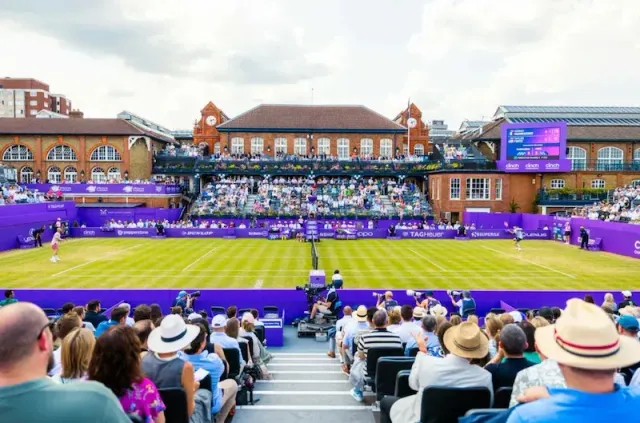 Queen's (London) 2026 - ATP 500 Preview