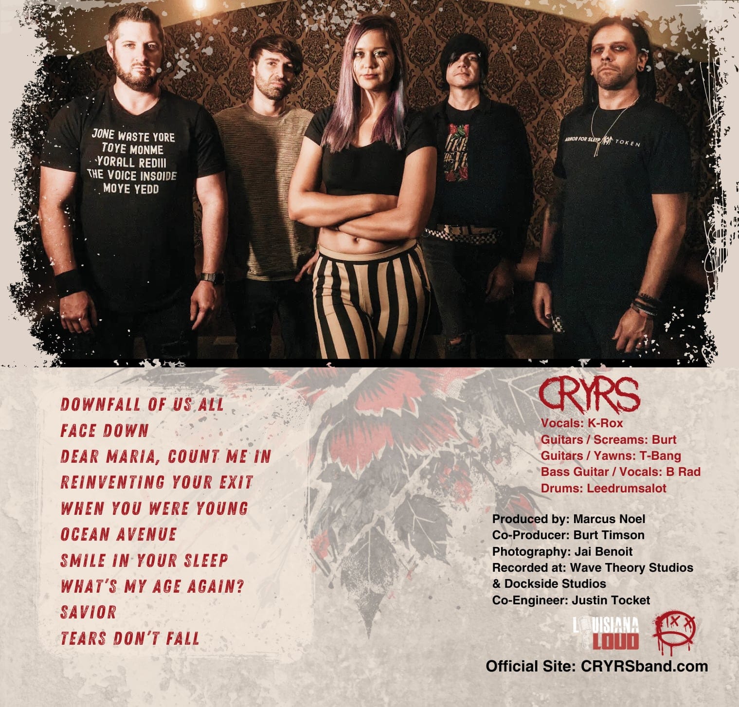 Back cover for In Light Of Heavy Hearts.