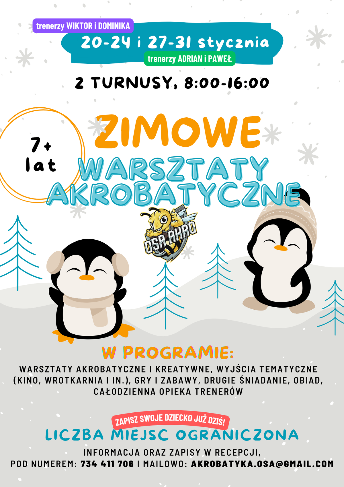 Zimowe Warsztaty Akrobatyczne 🌟 – Zapisz dziecko już dziś!
