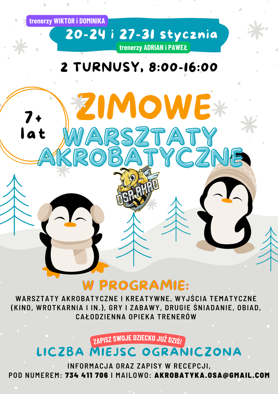 Zimowe Warsztaty Akrobatyczne 🌟 – Zapisz dziecko już dziś!
