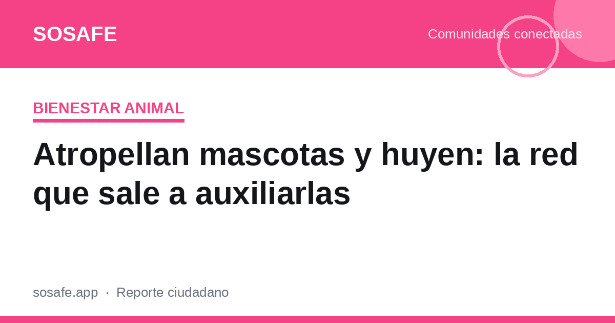 Atropellan mascotas y huyen: la red vecinal de Santiago