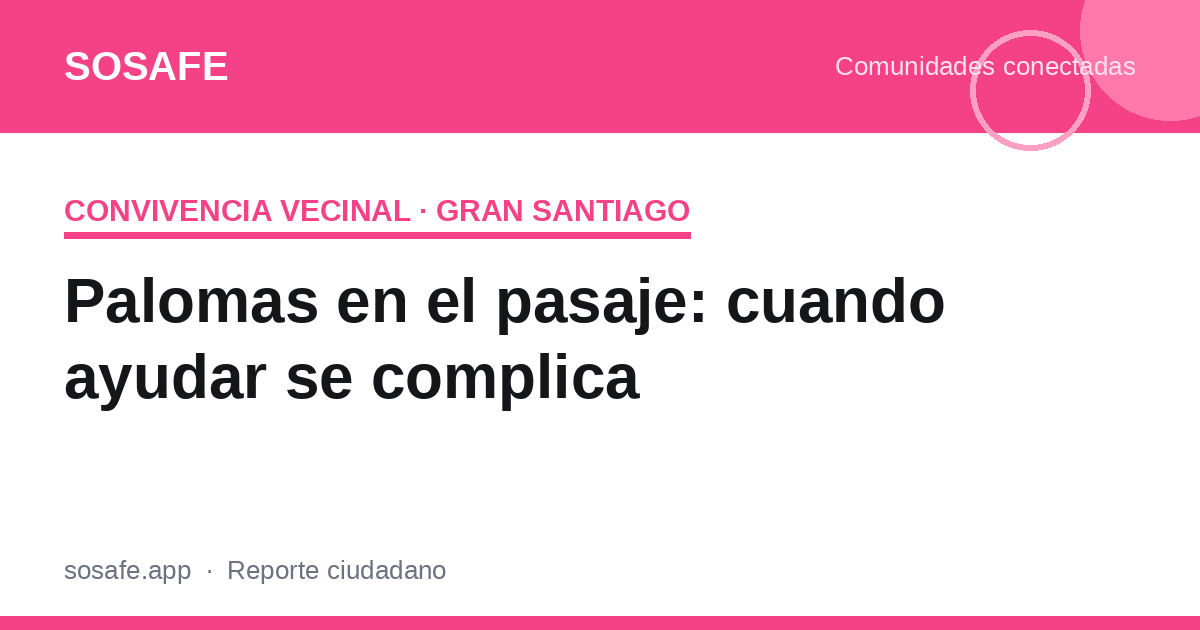 ¿Es malo alimentar palomas en el pasaje?