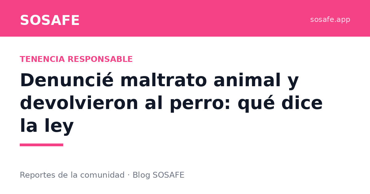 Denuncié maltrato animal y devolvieron al perro: la ley