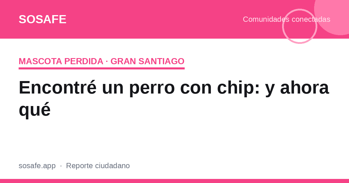Encontré un perro con chip: cómo consultar el registro