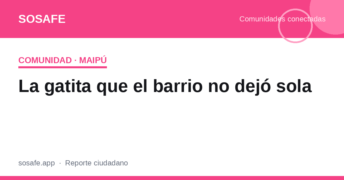 La gatita que el barrio no dejó sola: rescate en Maipú