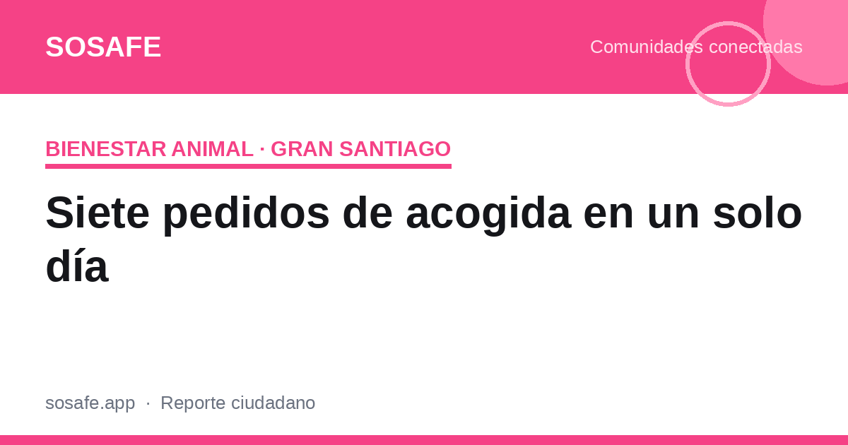 Hogar temporal para perros rescatados en Santiago