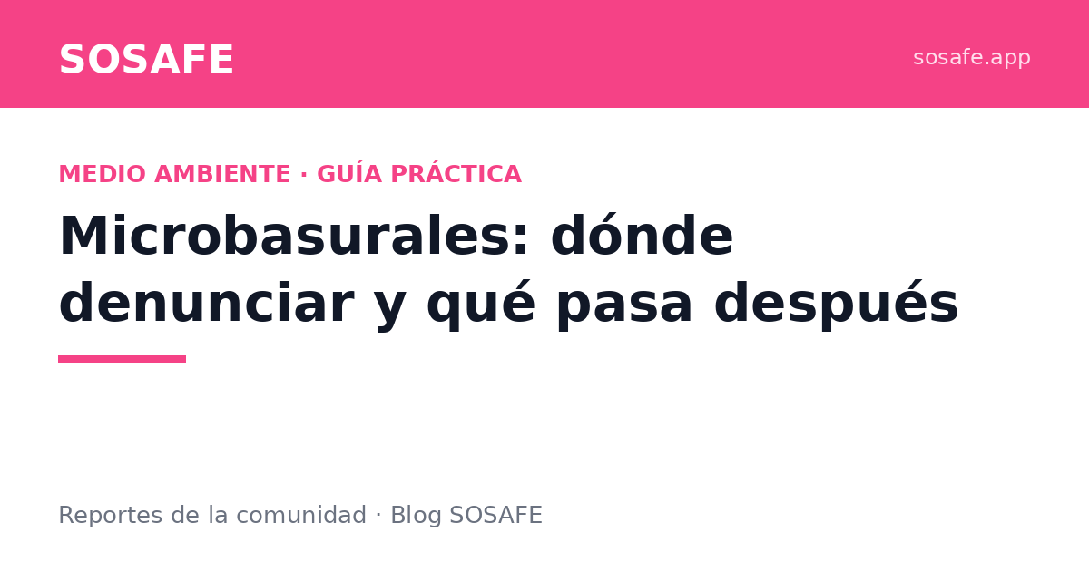 Microbasurales: dónde denunciar y qué pasa después