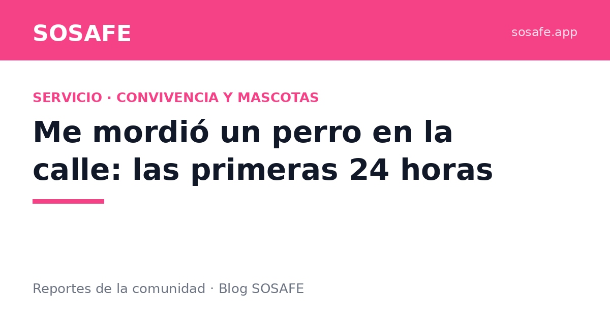 Me mordió un perro: qué hacer en las primeras 24 horas