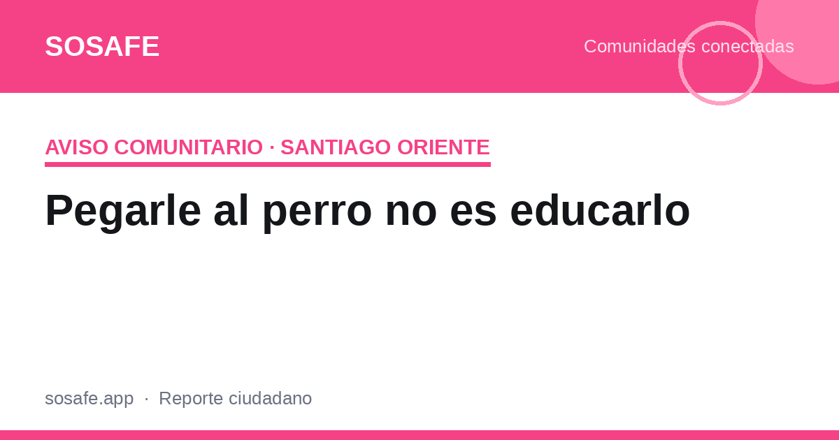 Pegarle al perro no es educarlo: qué dice la ciencia