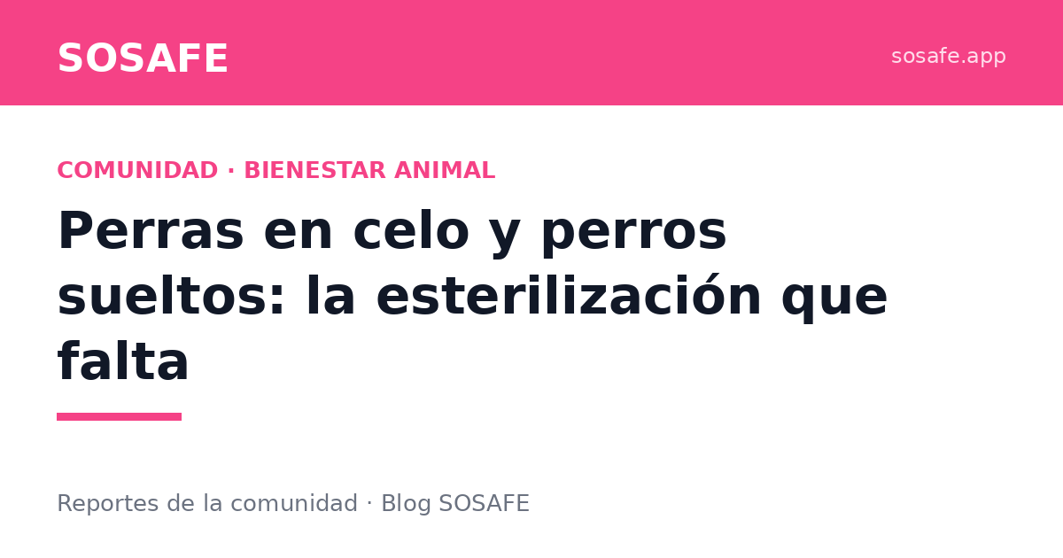 Perras en celo y perros sueltos: por qué urge esterilizar