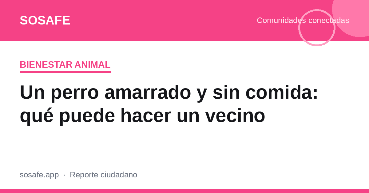 Perro maltratado y dueño vulnerable: qué hacer
