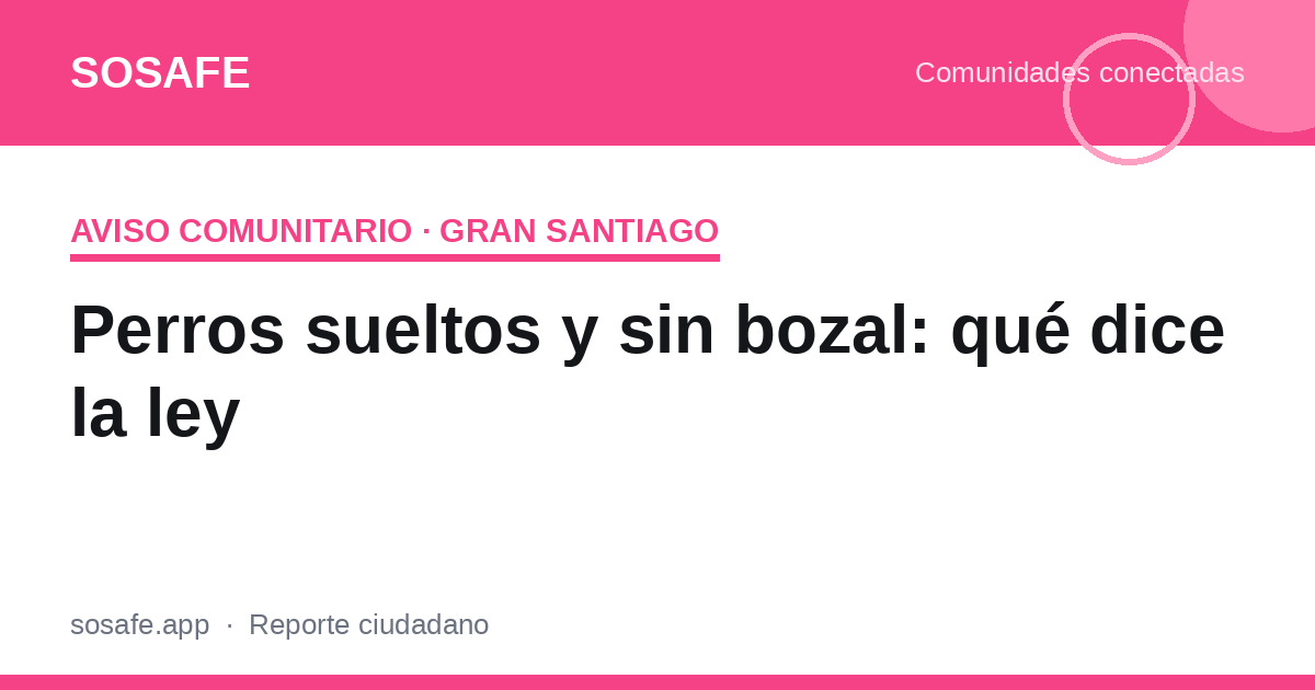 Perros sueltos y sin bozal: qué exige la ley en Chile