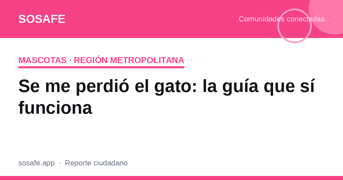 Se me perdió el gato: la guía de búsqueda que funciona