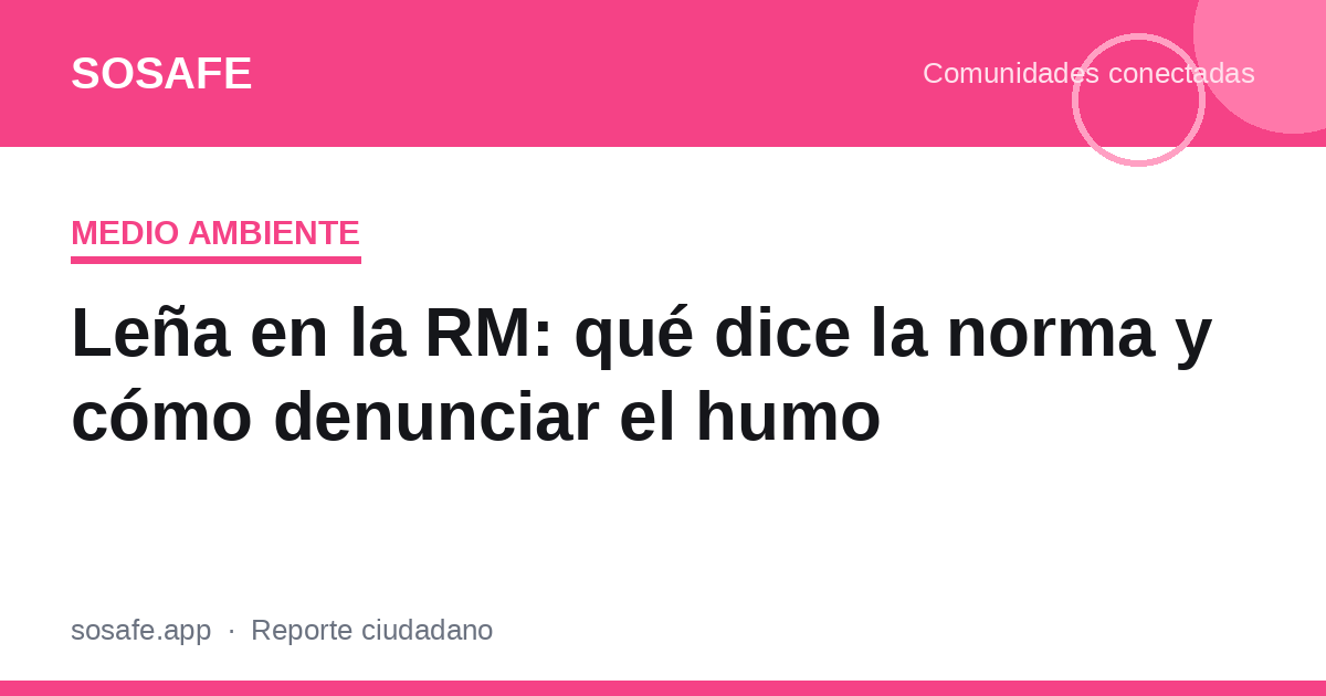 ¿Se puede usar leña en la RM? La norma y cómo denunciar