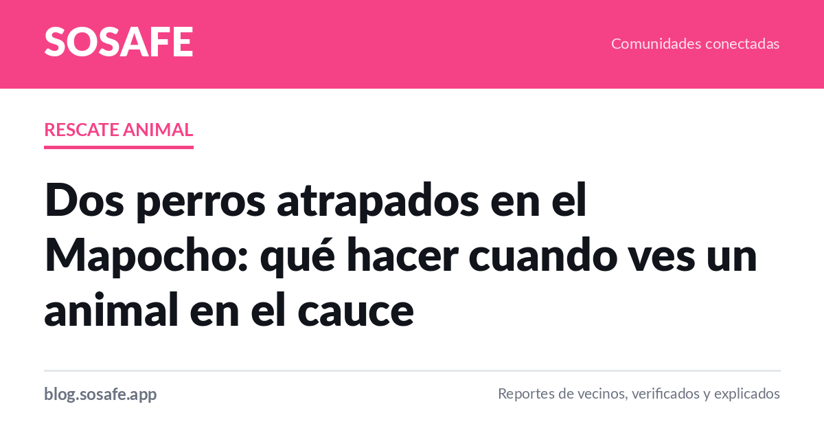 Animal atrapado en el cauce: a quién llamar