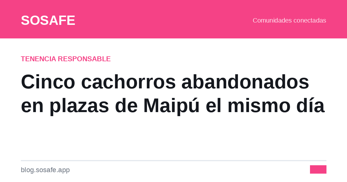 Cachorros abandonados en Maipú: cómo los rescataron